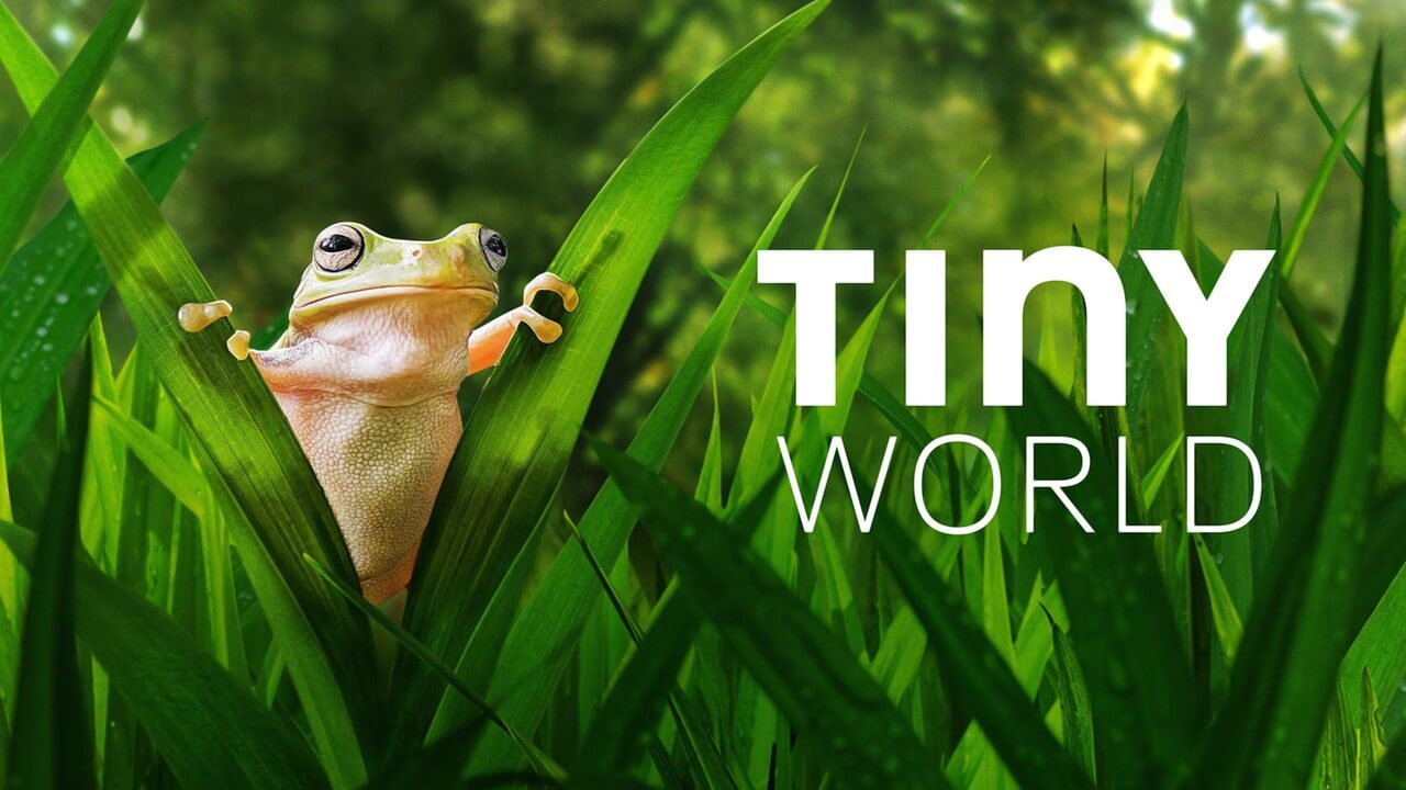《小小世界》Tiny World英文版 第一季 [全6集]