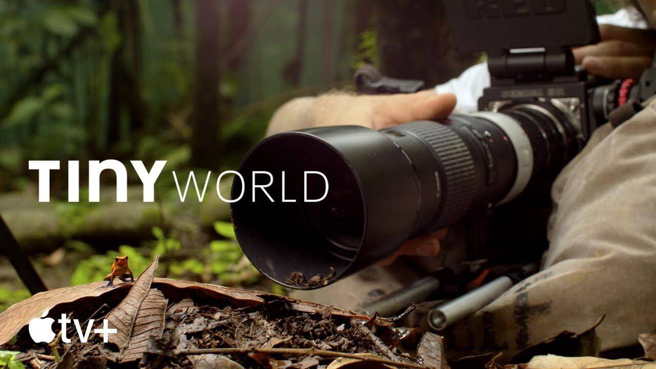 《小小世界》Tiny World英文版 第二季 [全6集]