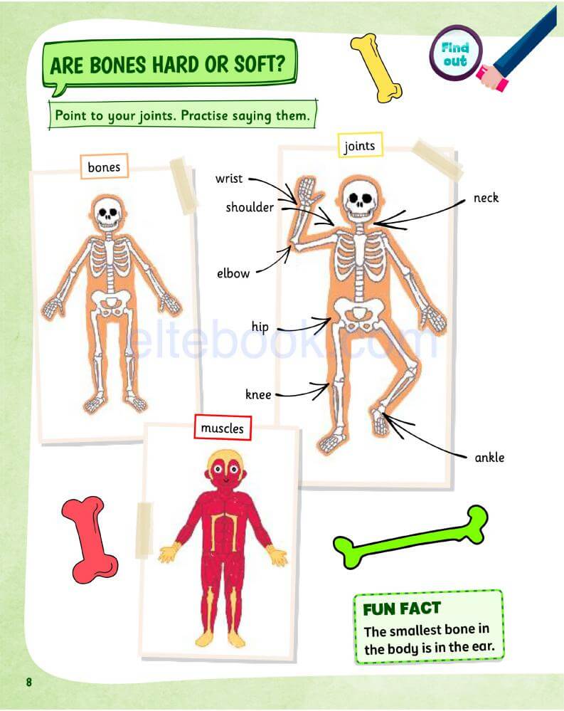 《Science Skills Level 1》剑桥Science Skills 第1级别插图5 《Science Skills Level 1》剑桥Science Skills 第1级别 - Bukids陪伴计划
