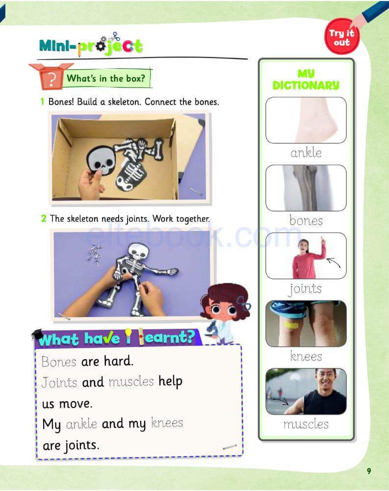 《Science Skills Level 1》剑桥Science Skills 第1级别插图6 《Science Skills Level 1》剑桥Science Skills 第1级别 - Bukids陪伴计划