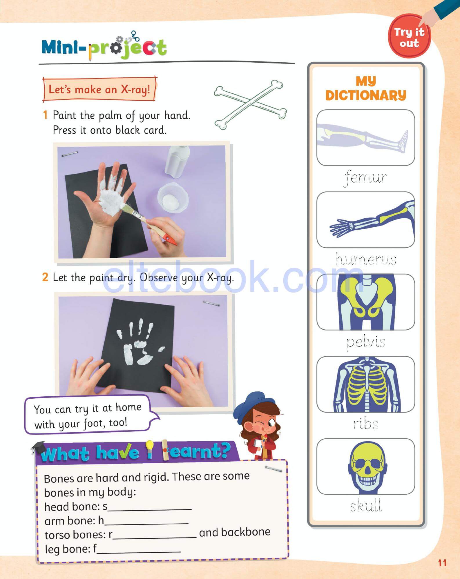 《Science Skills Level 2》剑桥Science Skills 第2级别 - Bukids陪伴计划