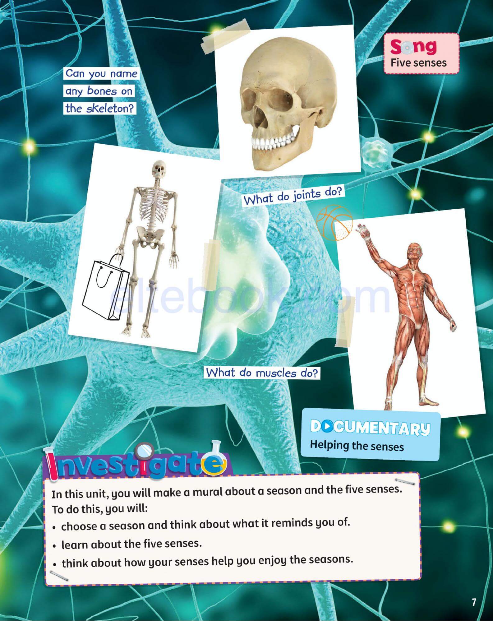 《Science Skills Level 3》剑桥Science Skills 第3级别 - Bukids陪伴计划