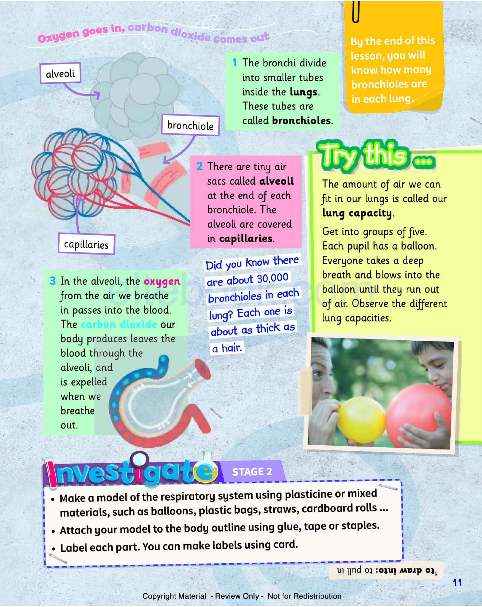 《Science Skills Level 4》剑桥Science Skills 第4级别 - Bukids陪伴计划