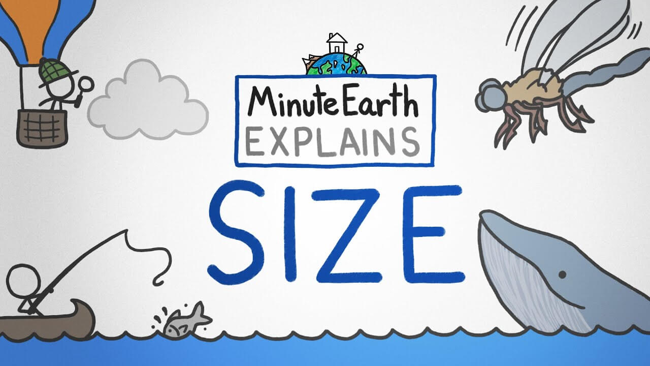 《MinuteEarth》分钟地球Youtube英语科学科普视频 第4辑 [第301-389集]