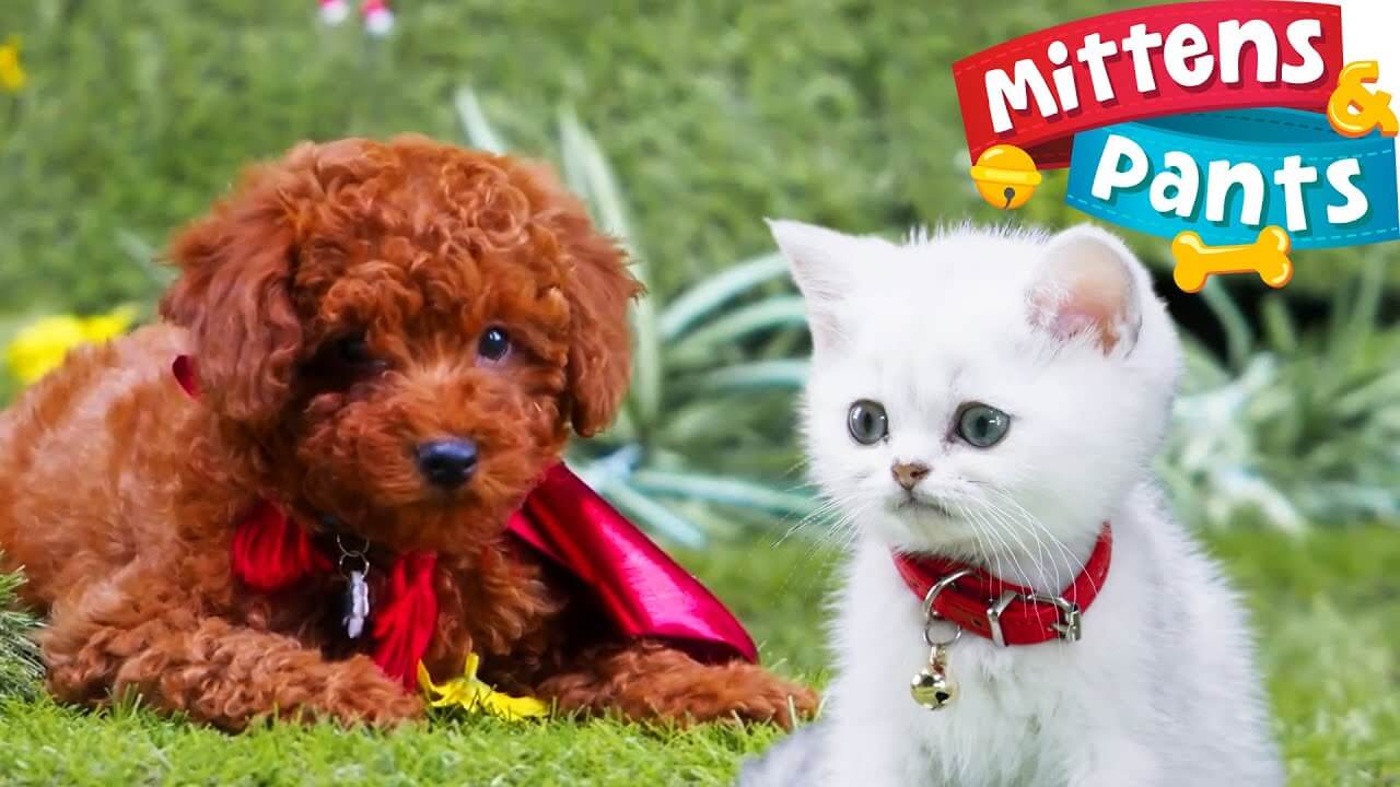 《牛奶与巧克力》Mittens and Pants英文版 第三季 [全44集]