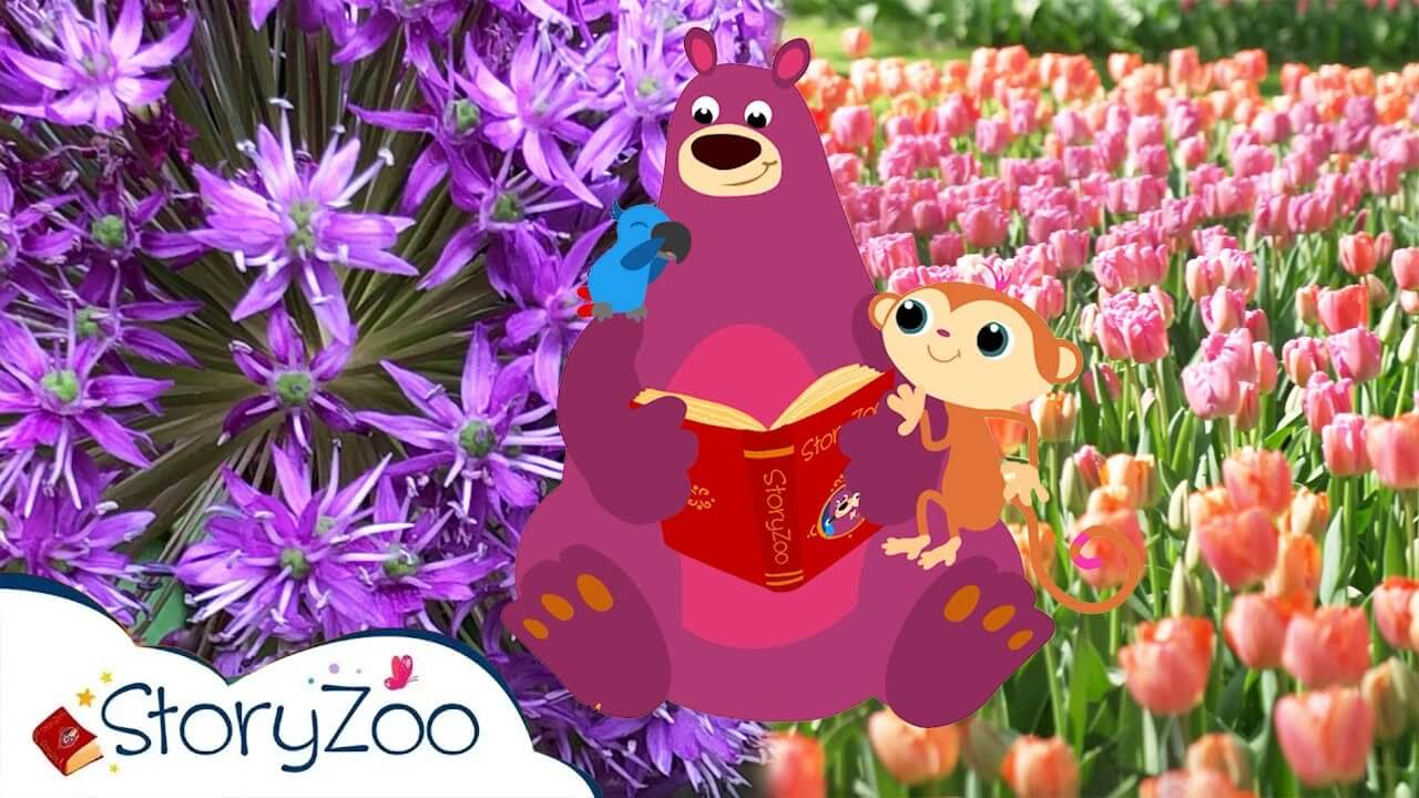 《StoryZoo》Play and Learn英文版 第一季 [全10集] - Bukids陪伴计划